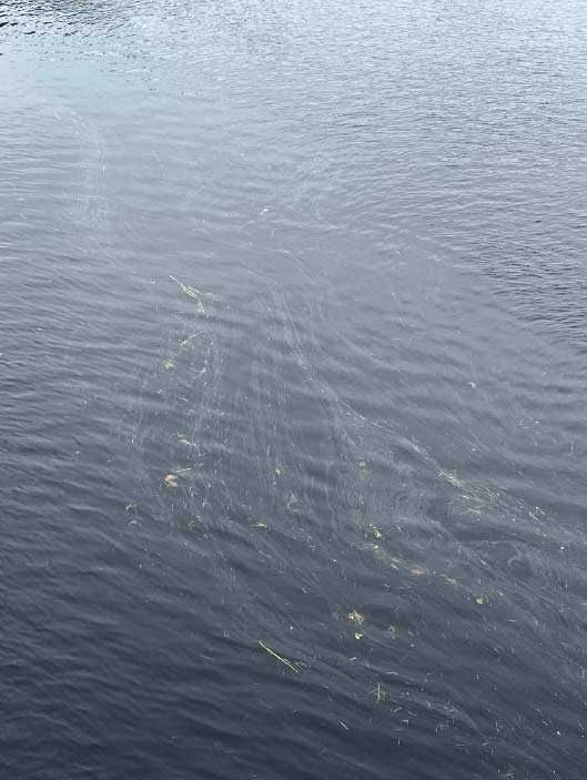 Photo qui représente de l'eau-contaminee au gaz flottant